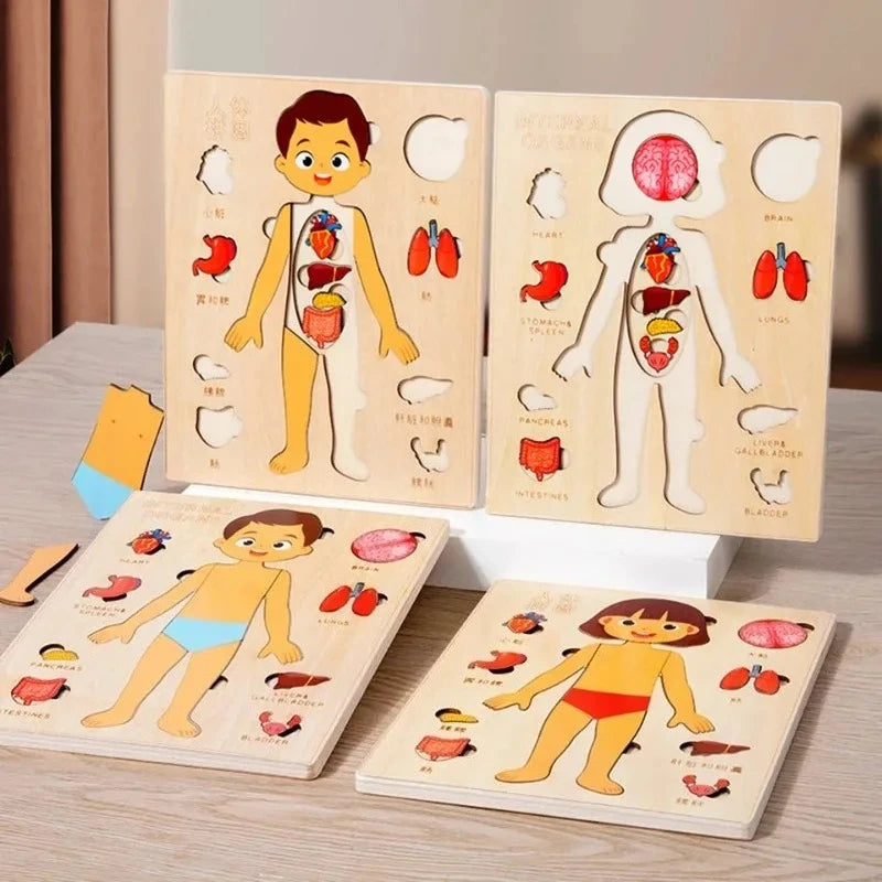Puzzle Montessori Corps Humain