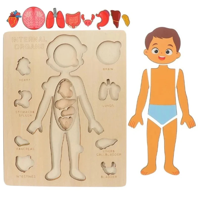 Puzzle Montessori Corps Humain