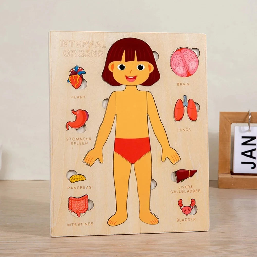 Puzzle Montessori Corps Humain