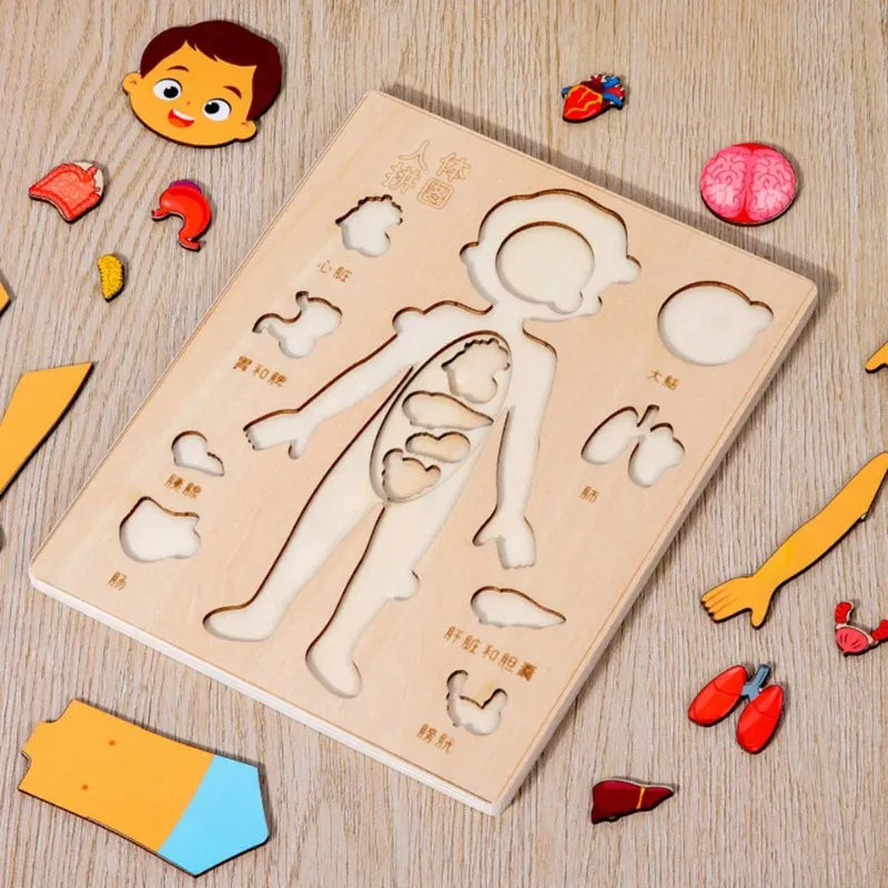 Puzzle Montessori Corps Humain