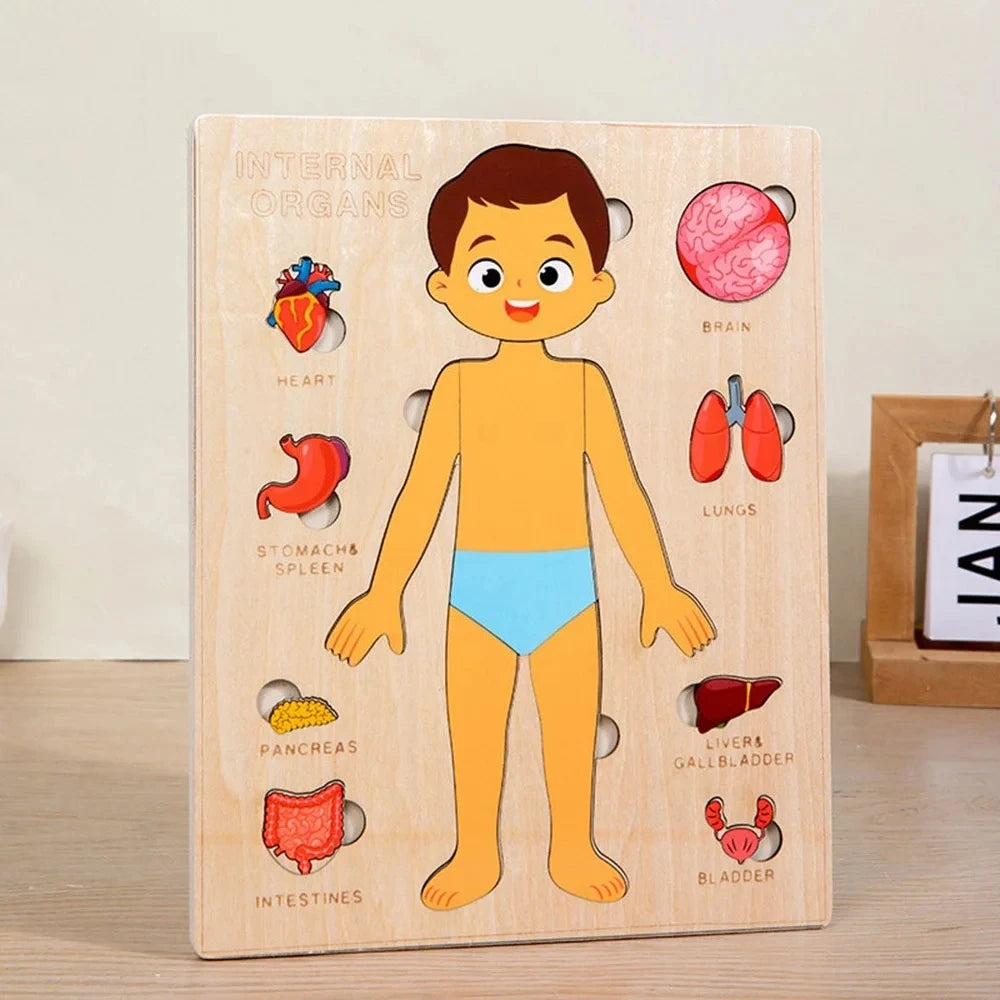 Puzzle Montessori Corps Humain