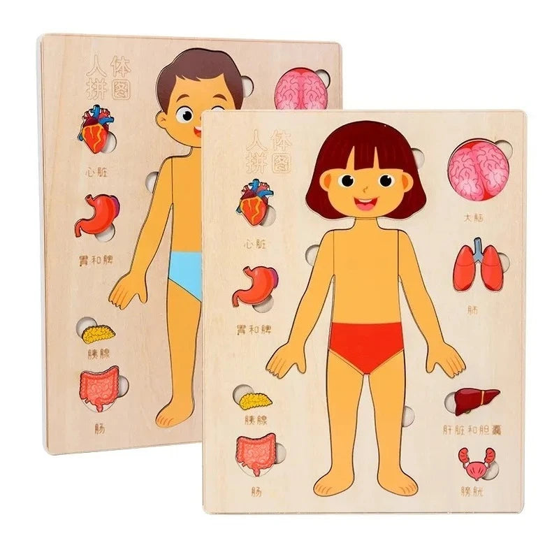 Puzzle Montessori Corps Humain